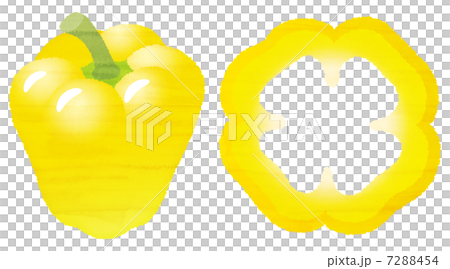 水彩風格的辣椒粉 7288454