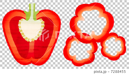 水彩風格的辣椒粉 7288455