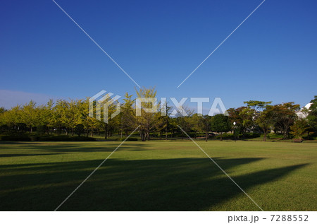 公園 公園 7288552