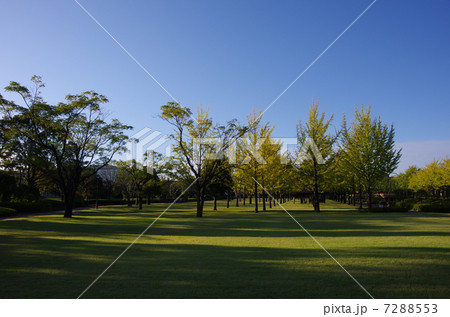 公園 公園 7288553