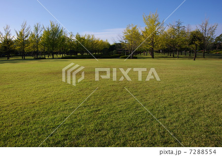 公園 公園 7288554