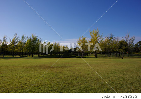 公園 7288555