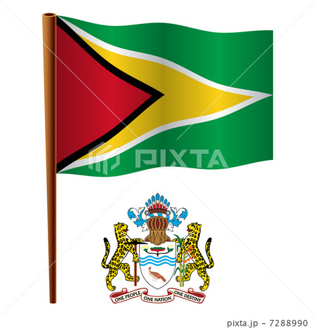guyana wavy flag 7288990