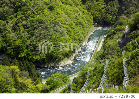 新緑の置賜野川 7289700