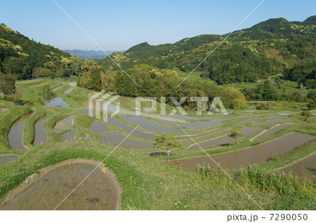 天水田 7290050