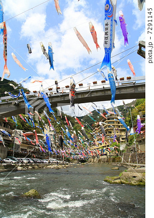 杖立の鯉のぼり 7291145