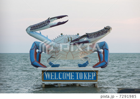 アジアの市場 アジアの市場 7291985