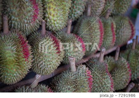 アジアの市場 アジアの市場 7291986