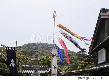 おかげ横丁の鯉のぼり 7293130