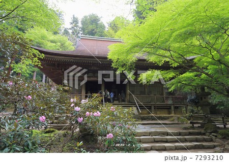 室生寺本堂 室生寺本堂 7293210