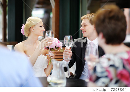 Bride and groom toasting Bride and groom toasting 7293364