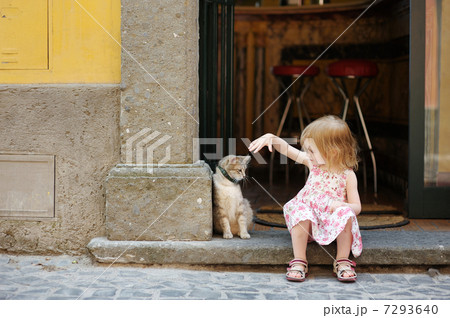 Adorable happy little girl and a cat Adorable happy little girl and a cat 7293640