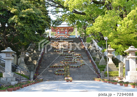 防府天満宮大石段花回廊 7294088