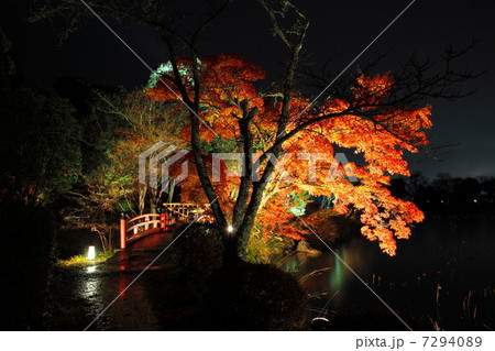 大覚寺 橋 紅葉ライトアップ 7294089