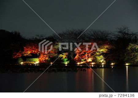 大覚寺 大沢池 紅葉ライトアップ 7294136