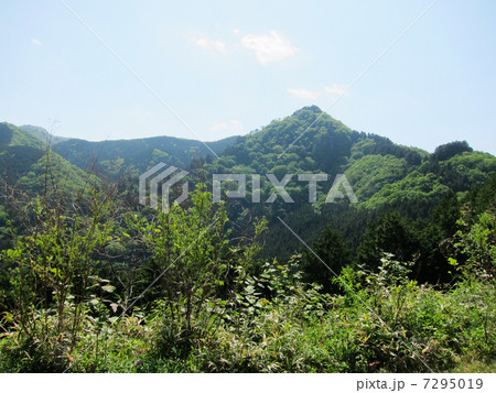 5月の長尾平から見た眺望 5月の長尾平から見た眺望 7295019