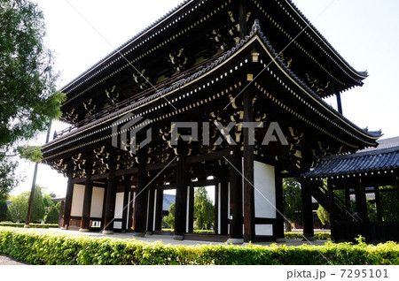 新緑の東福寺 新緑の東福寺 7295101