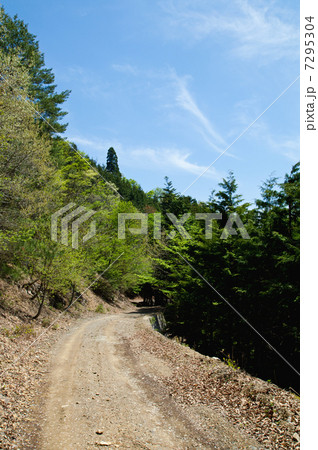 八丁林道 八丁林道 7295304