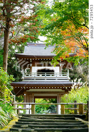 秋の浄智寺　鎌倉 7295453