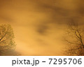 雲の隙間から星 7295706
