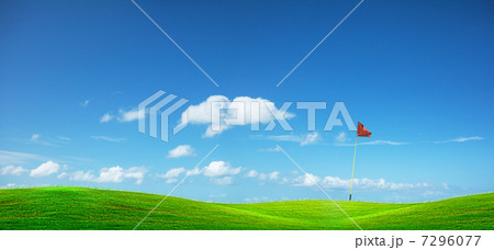 Golf course. Panoramic composition. 7296077