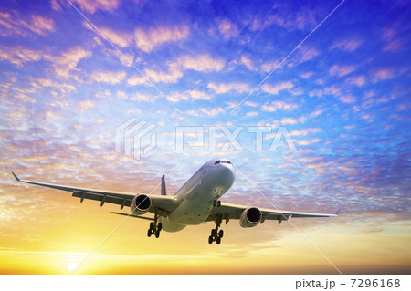 Evening flight Evening flight 7296168