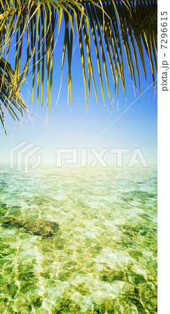 Tropical sea. Vertical panoramic composition. Tropical sea. Vertical panoramic composition. 7296615