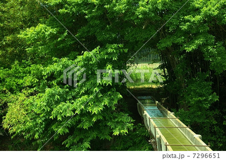 水路 水路 7296651