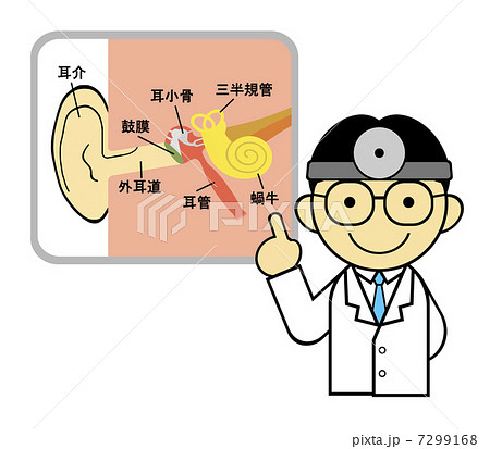 耳の構造を説明する医師のイラスト素材