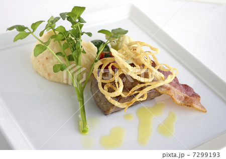 メインディッシュ 7299193