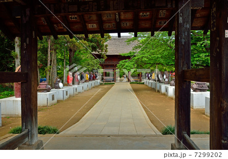 館林散歩・茂林寺 総門より山門に続く参道 館林散歩・茂林寺 総門より山門に続く参道 7299202