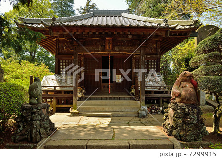 館林散歩・茂林寺　守鶴堂 7299915