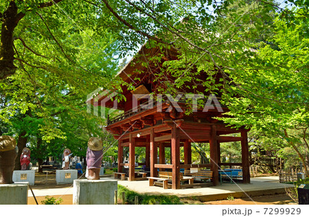 館林散歩・茂林寺 山門 館林散歩・茂林寺 山門 7299929