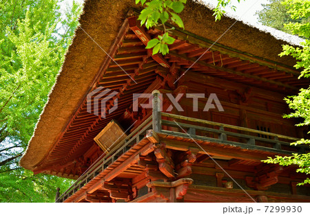 館林散歩・茂林寺 山門 館林散歩・茂林寺 山門 7299930