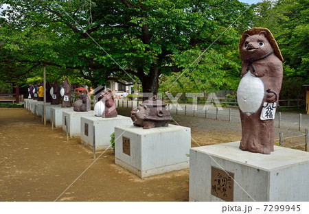 館林散歩・参道に並ぶ狸像 茂林寺 館林散歩・参道に並ぶ狸像 茂林寺 7299945