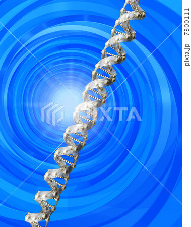 DNA／遺伝子イメージ 7300111
