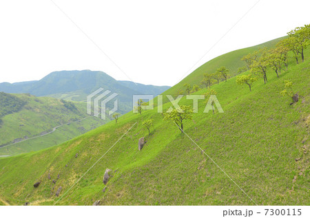 新緑の湯布院 7300115