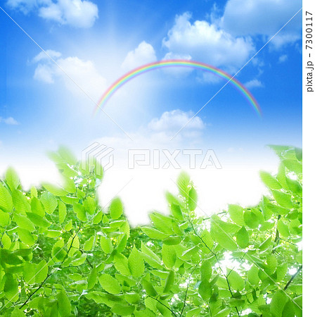 木漏れ日の風景/背景 木漏れ日の風景/背景 7300117