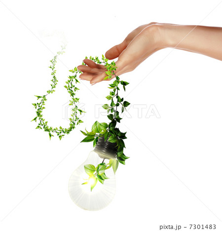 Arms and light bulbs 7301483