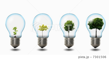light bulb with nature 7301506