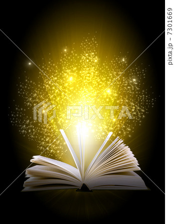 magic book 7301669