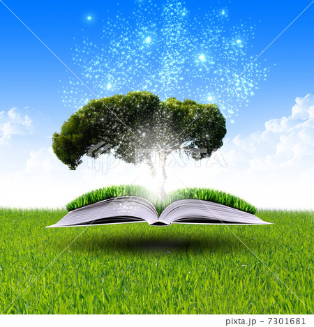 magic book magic book 7301681