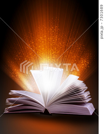 magic book 7301689