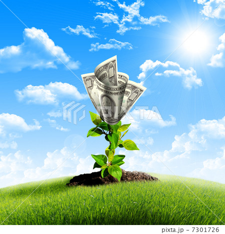 Bush of dollar bills 7301726