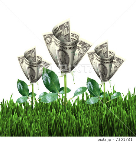 Bush of dollar bills Bush of dollar bills 7301731