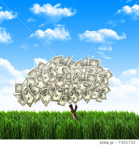 Tree of dollar bills Tree of dollar bills 7301732