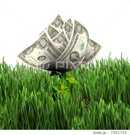 Bush of dollar bills Bush of dollar bills 7301735