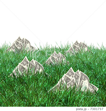 vegetation of dollar bills vegetation of dollar bills 7301737