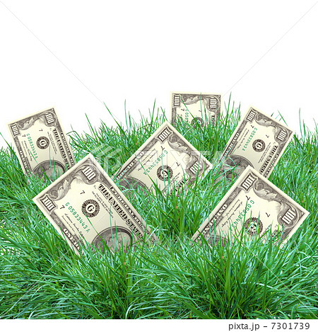 vegetation of dollar bills vegetation of dollar bills 7301739