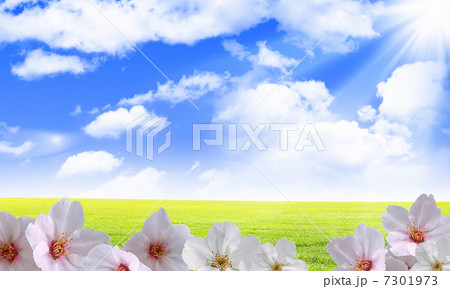 Beautiful flowers against the blue sky Beautiful flowers against the blue sky 7301973